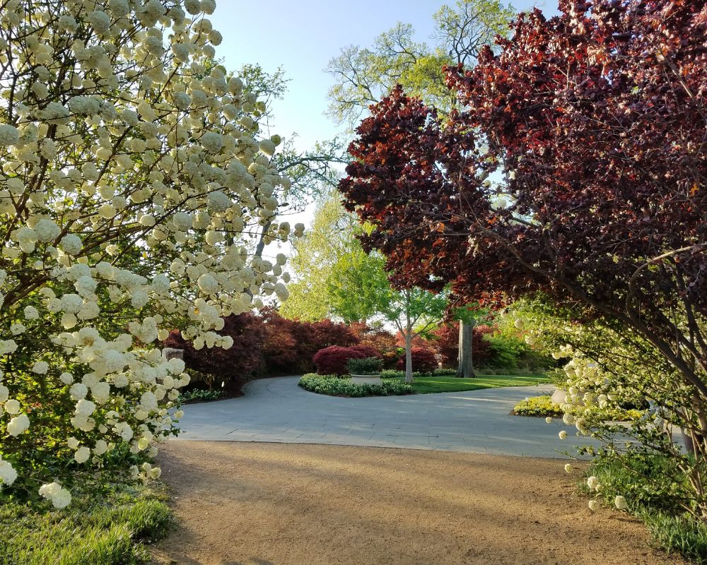 Landscaping And Gardening